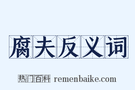 腐夫反义词是什么意思的图片